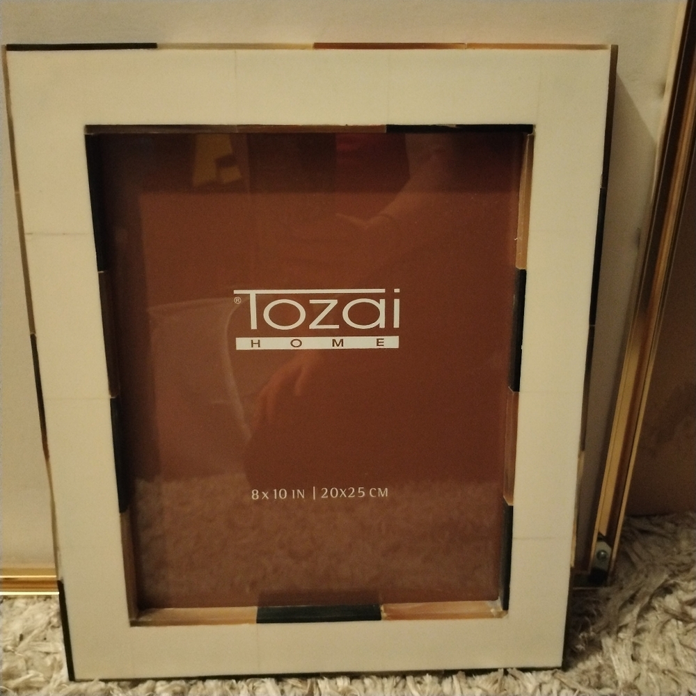 Tozai 8" x 10" Ivory with Horn inseam Photo Fram